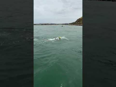 ANA MARCELA CUNHA ATRAVESSA O CANAL DA MANCHA E BATE RECORDE SUL-AMERICANO!