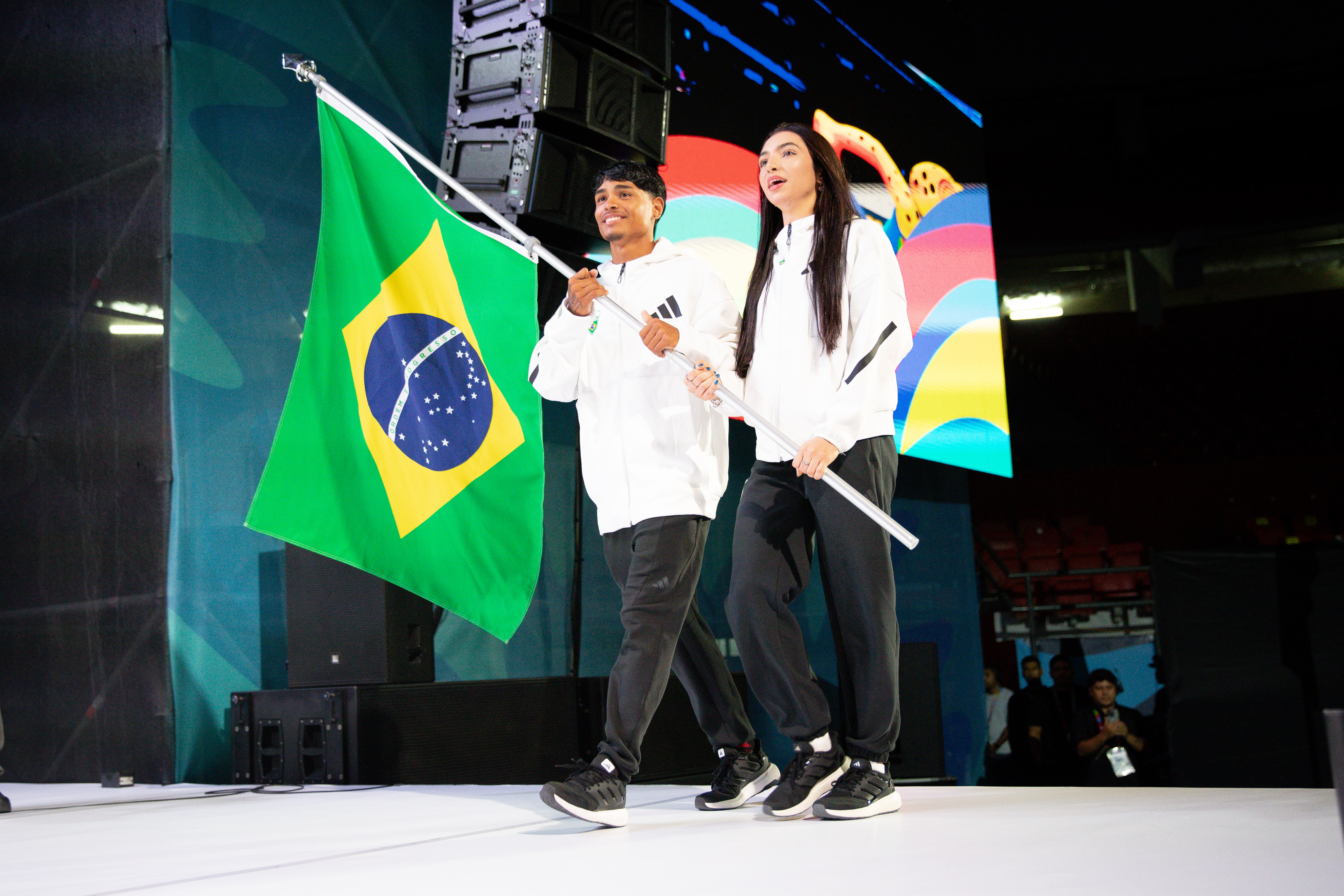 IMG_1177.JPG bandeira.jpeg